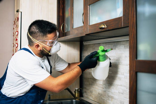 Best Affordable Pest Control Services  in Vista Santa Rosa, CA