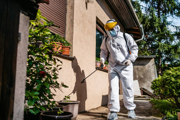 Best Pest Prevention Services  in Vista Santa Rosa, CA