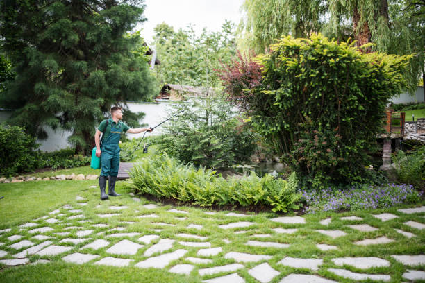 Best Insect Control  in Vista Santa Rosa, CA