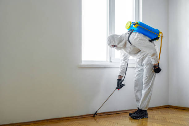 Best Cockroach Control Services  in Vista Santa Rosa, CA