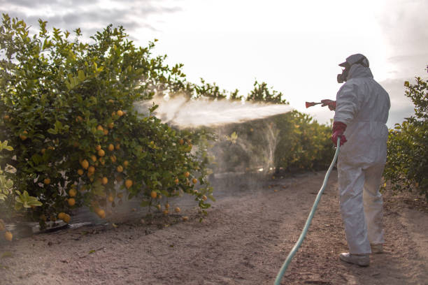 Best Best Pest Control Companies  in Vista Santa Rosa, CA