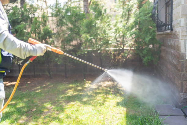 Best Pest Inspection Near Me  in Vista Santa Rosa, CA