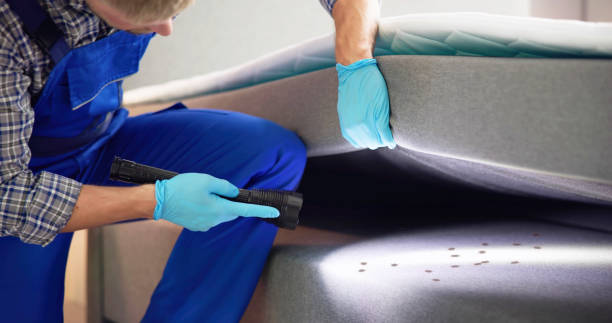 Pest Control Cost in Vista Santa Rosa, CA